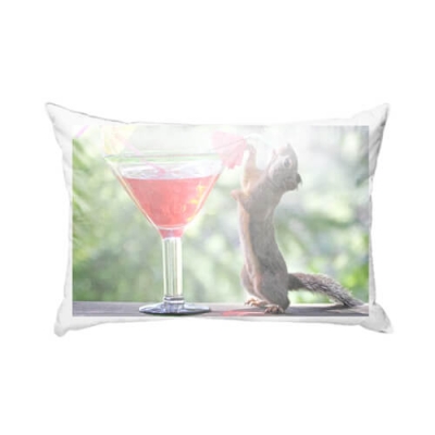 Бурундук пьёт коктейль на подушке